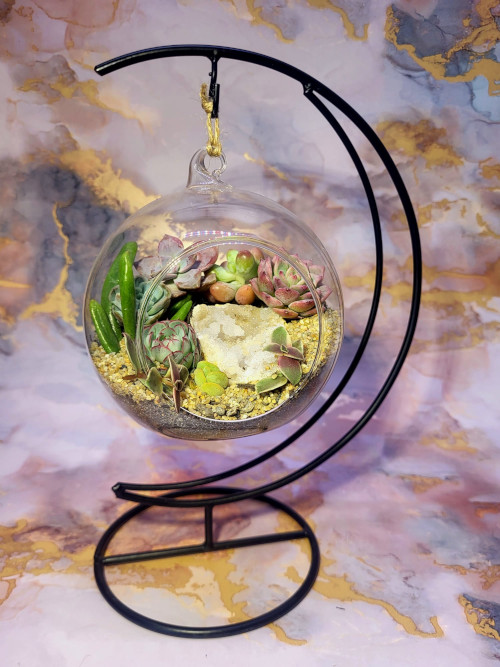 Artifex image - Tonga Large With Stand Succulent